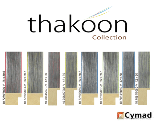 banner Thakoon collection
