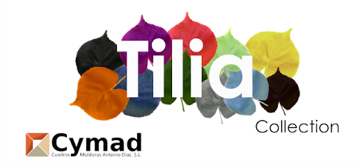 tilia collection