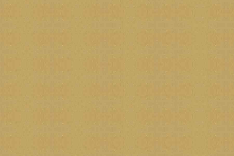 1021