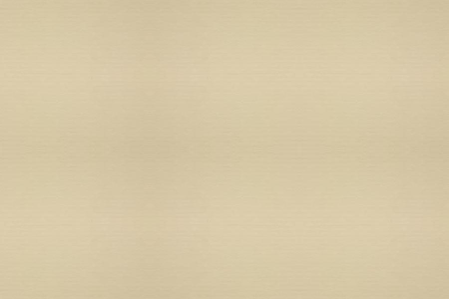 4810