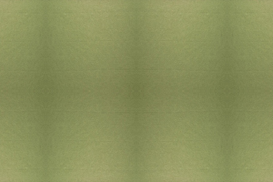 1001
