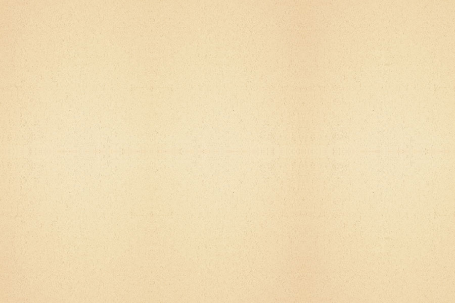 GSRM1051