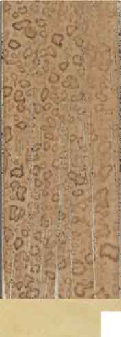 1615-7078